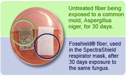 Fosshield affects to bacteria.